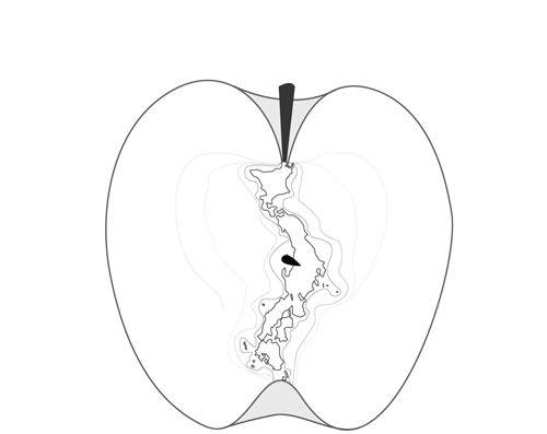 AN APPLE FROM by LIORA ROSIN_03