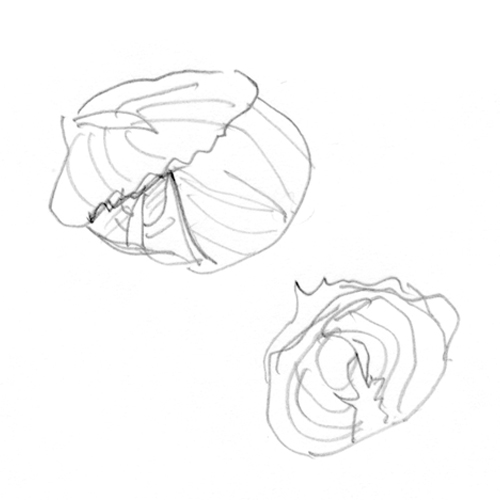 APPLE CIDER by KOBAYASHI AKIYIO_03