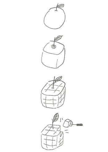 APPLE CUBE by JINAH HAM_02