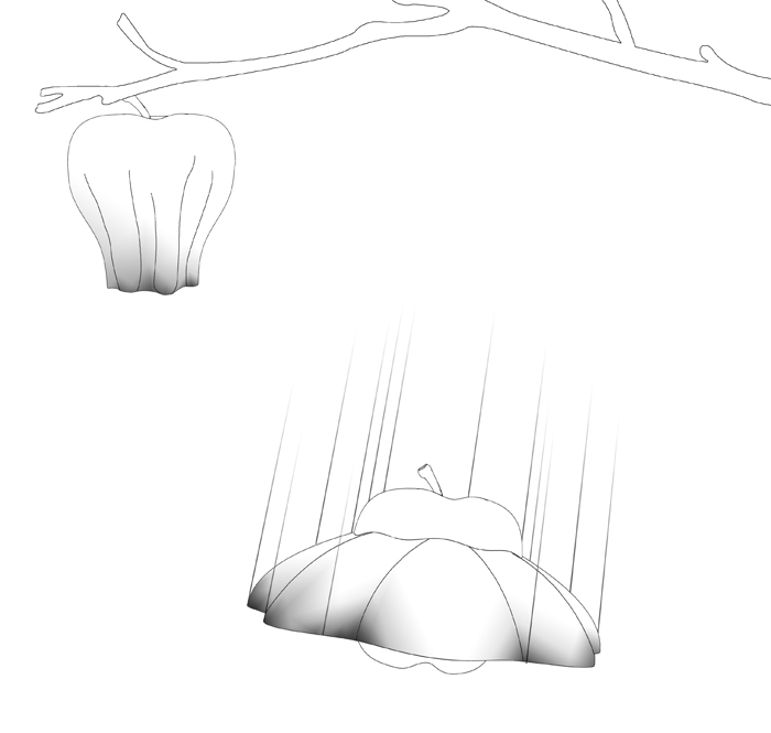 APPLE FALL by ROI VASPI YANAI_02