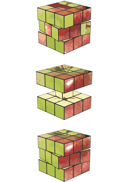 APPLE MIX by ROI VASPI YANAI_02