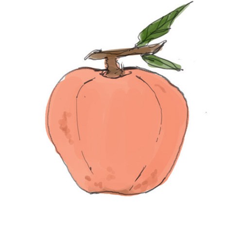 APPLORANGE by PARISA_02