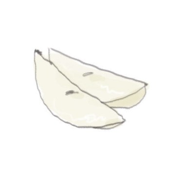 APPLORANGE by PARISA_03