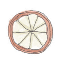 APPLORANGE by PARISA_04