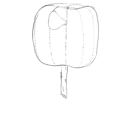 APPSICLE by CARLOS JADRAQUE SÁNCHEZ