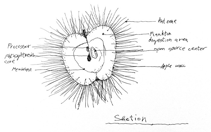 ETERNAL APPLE by CHANAN DE LANGE_03