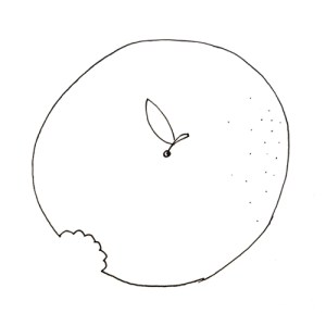 FLATAPPLE by SHIRA KERET_03