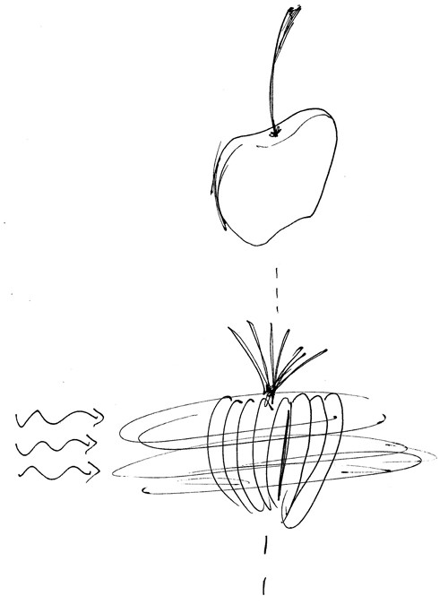 ROTATION APPLE by KOBI NAKAV_01