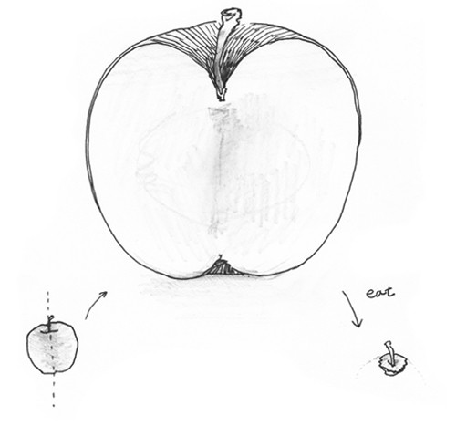 SEEDLESS APPLE by RIO KANEMOTO_02