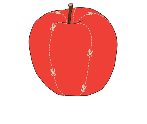 SHARED APPLE by YURIKA OMOTO