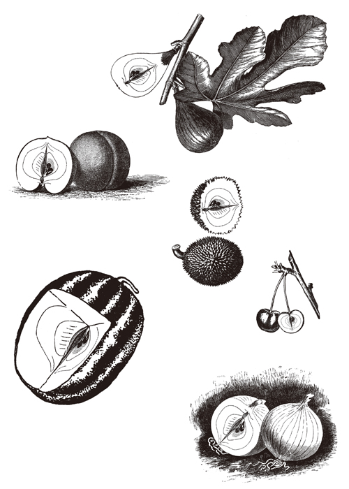 VARIATIONS OF AN APPLE by ALEXANDER BEHN_02