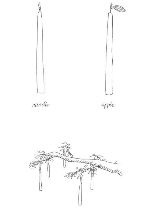 WAX APPLE HIROYUKI TSUCHIDA Naoto Fukasawa Design_01