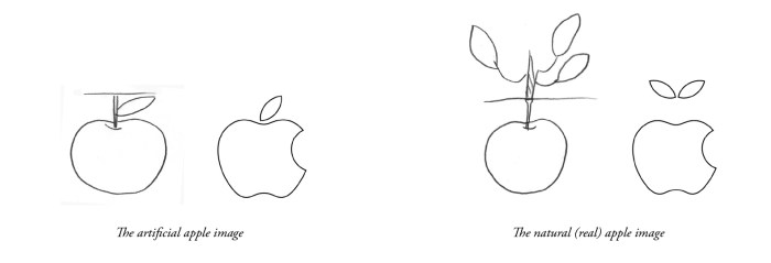 apple image_for_web-2